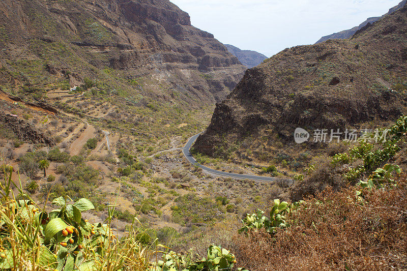 Barranco de Guayadeque -格兰卡纳利亚